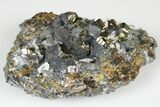 Chalcopyrite, Galena, Pyrite and Quartz Association - Peru #187342-1